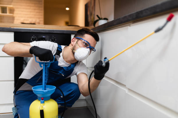 Best Best Pest Control Near Me  in Cosmopolis, WA