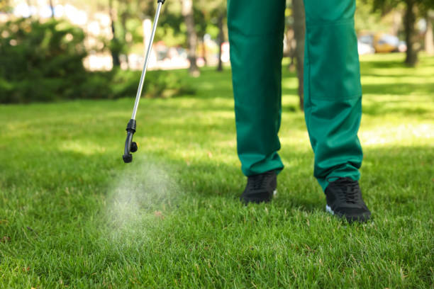 Best Pest Inspection Near Me  in Cosmopolis, WA
