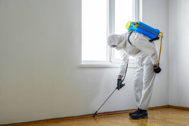 Best Pest Removal Services  in Cosmopolis, WA