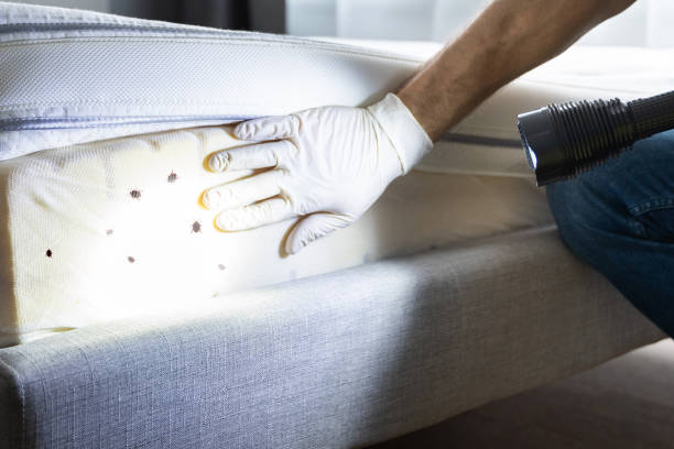  Cosmopolis, WA Pest Control Pros