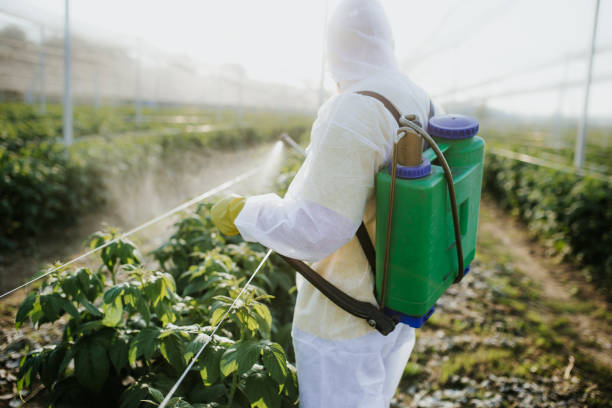 Best Residential Pest Control  in Cosmopolis, WA